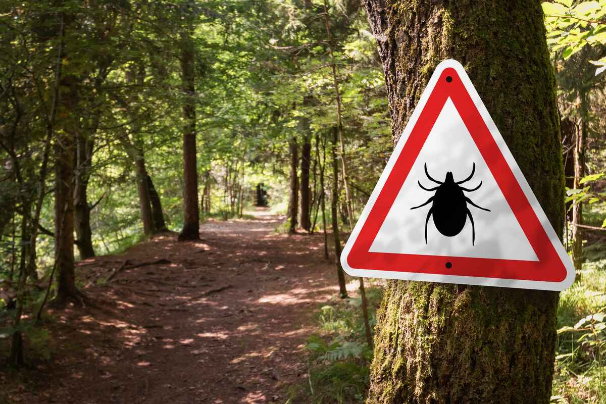 Sign for ticks in a wooded area 