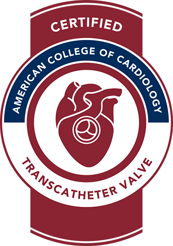 tavr seal