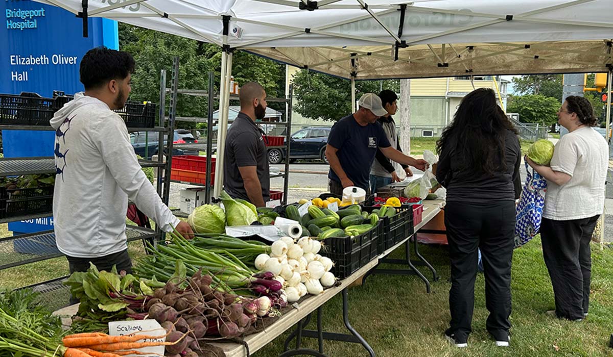The Farm Stand